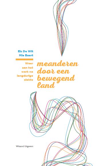 Omslag van Meanderen door een bewegend land