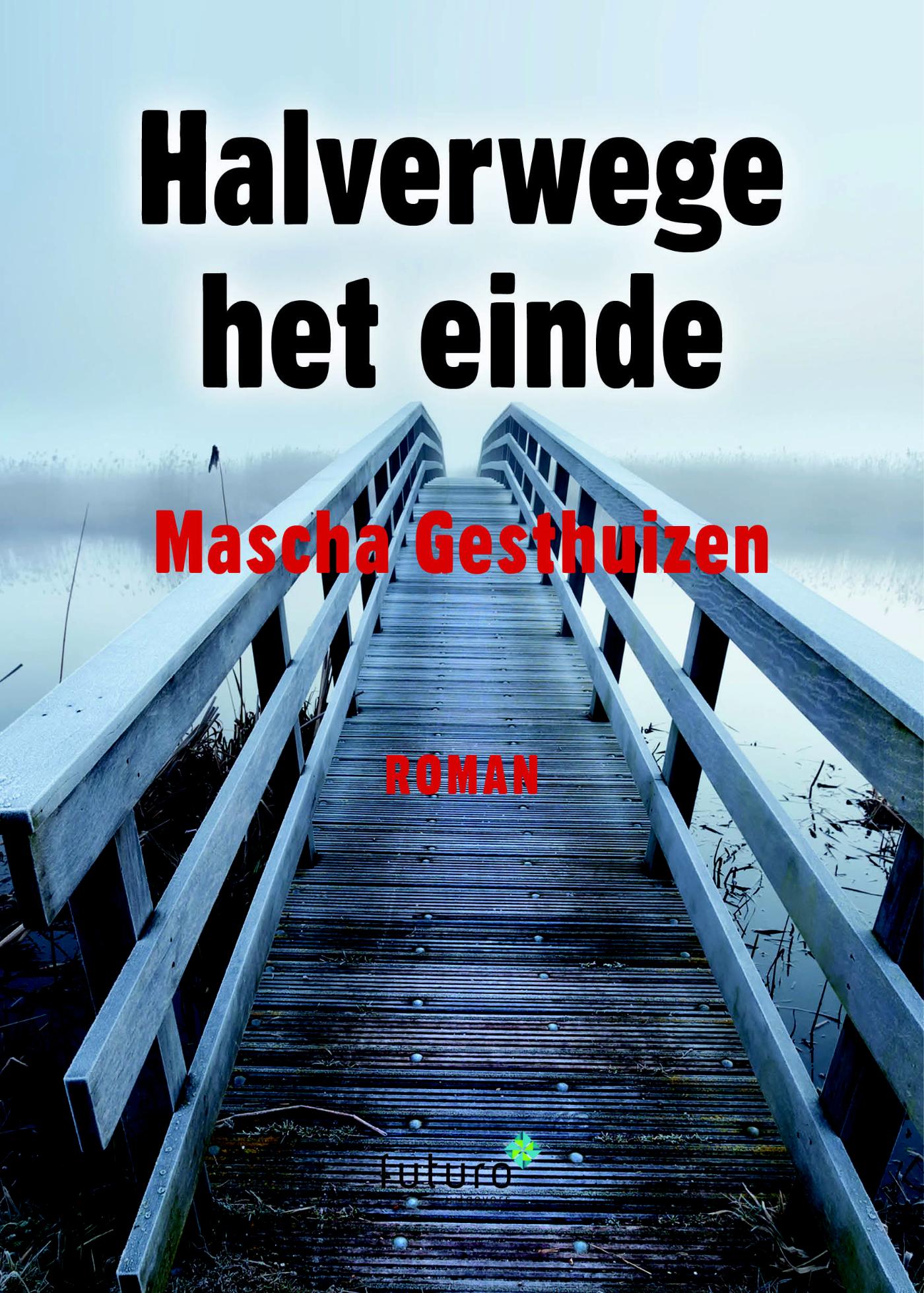 Omslag van Halverwege het einde