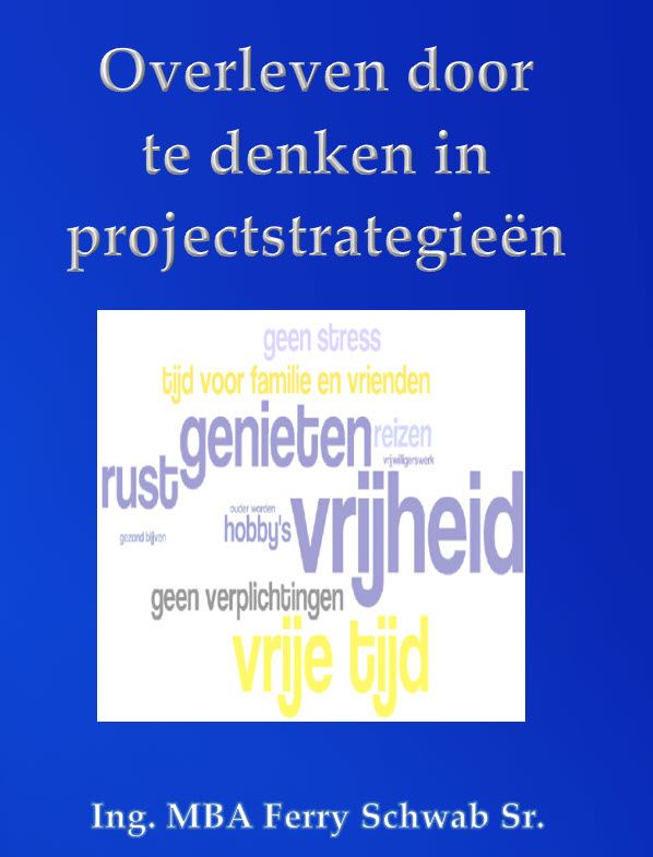 Omslag van Overleven door te denken in projectstrategieën