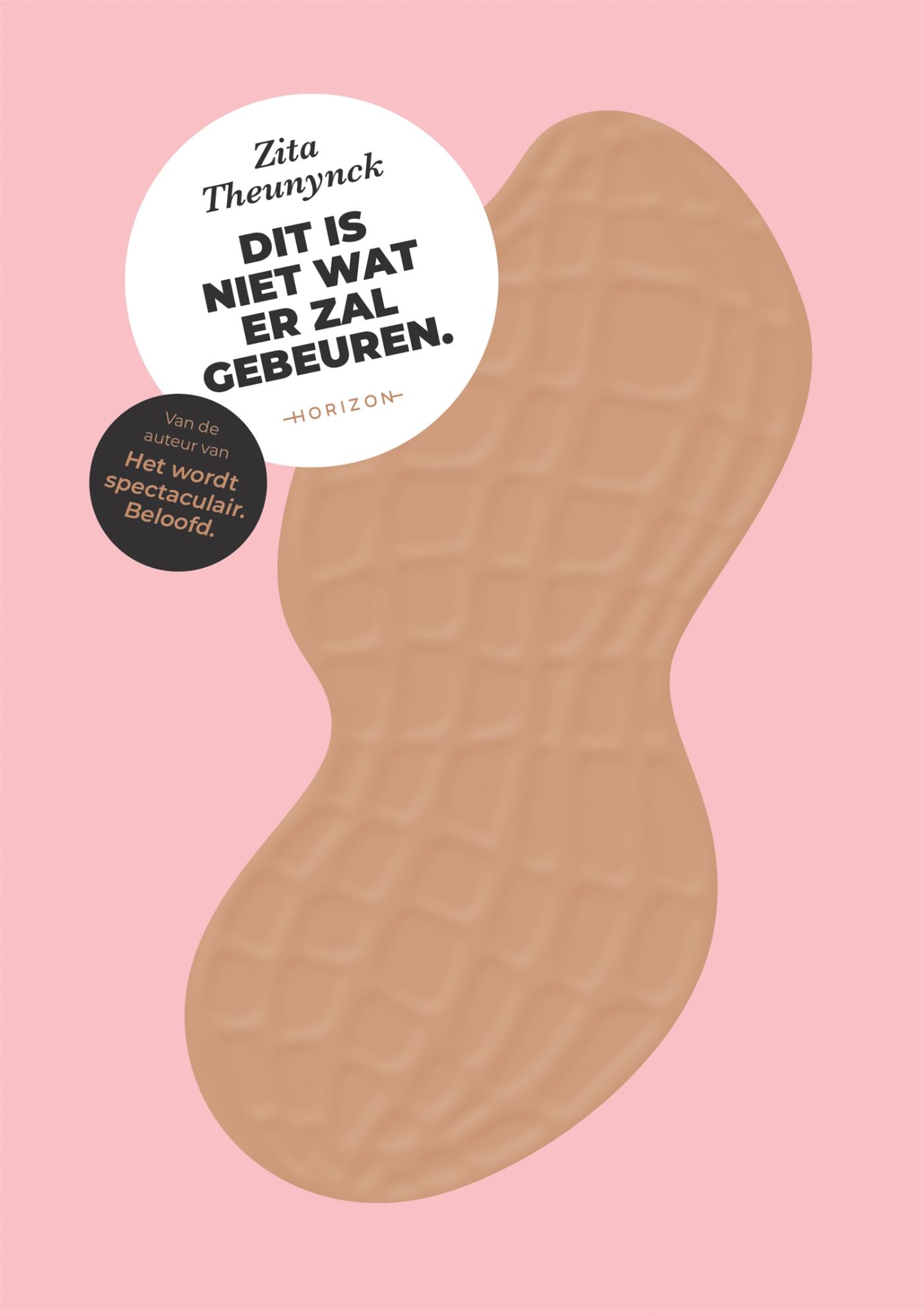 Omslag van Dit is niet wat er zal gebeuren.