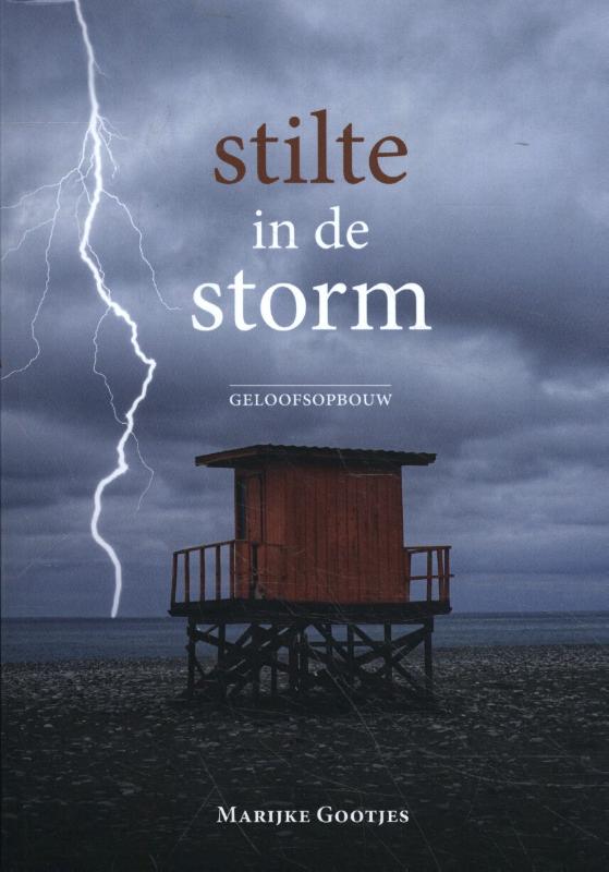 Omslag van Stilte in de storm