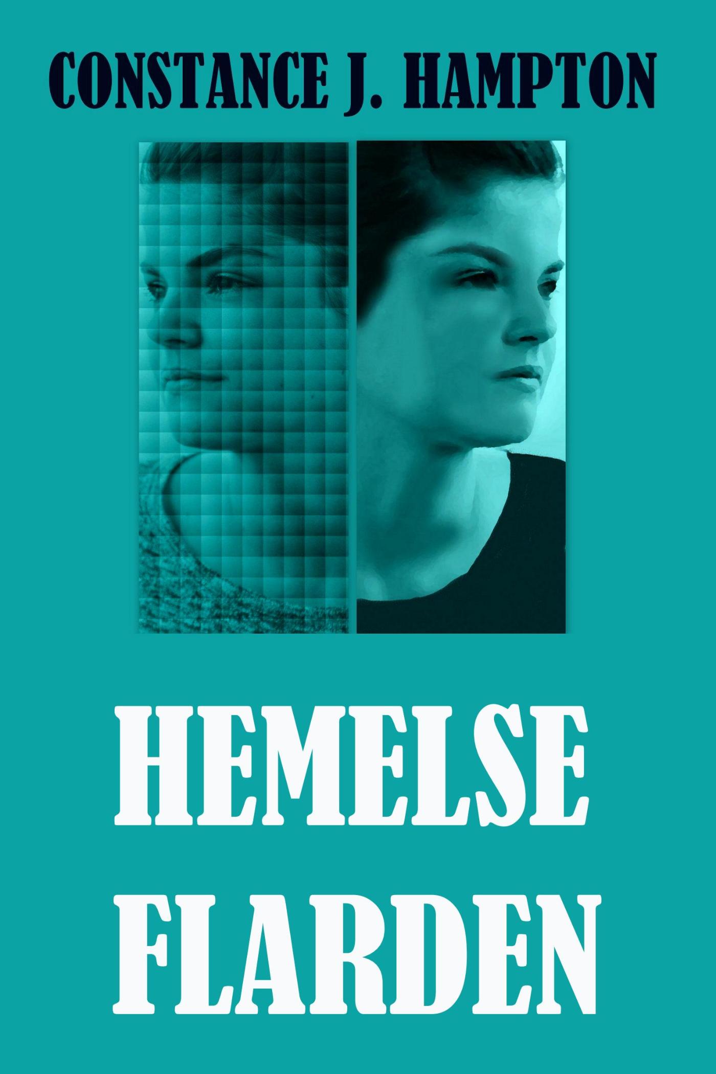 Omslag van Hemelse Flarden