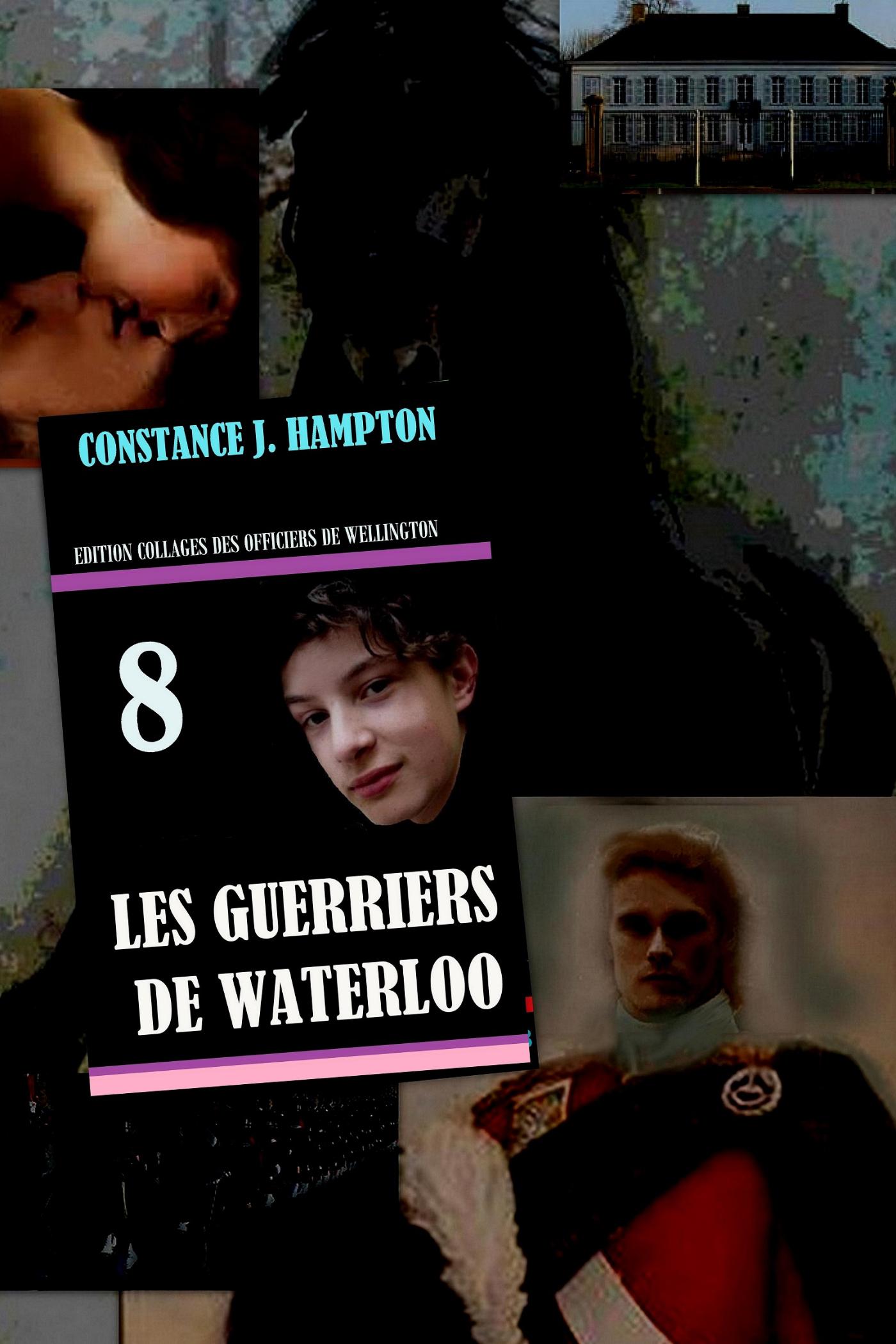 Omslag van Les Guerriers de Waterloo