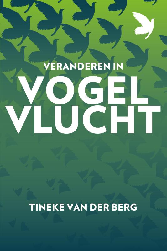 Omslag van Veranderen in vogelvlucht