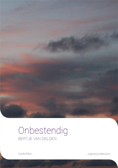 Omslag van Onbestendig