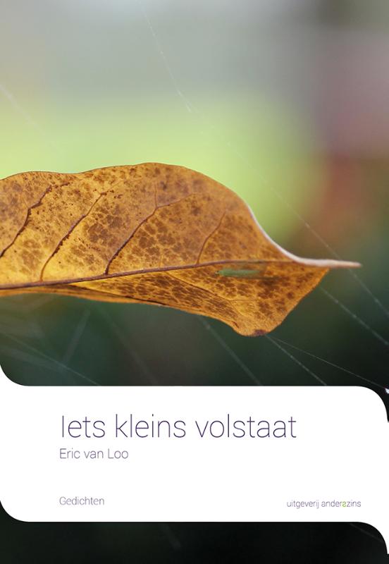 Omslag van Iets kleins volstaat