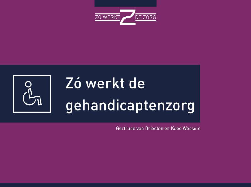 Omslag van Zó werkt de gehandicaptenzorg