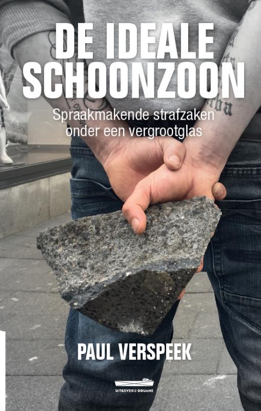 Omslag van De Ideale Schoonzoon