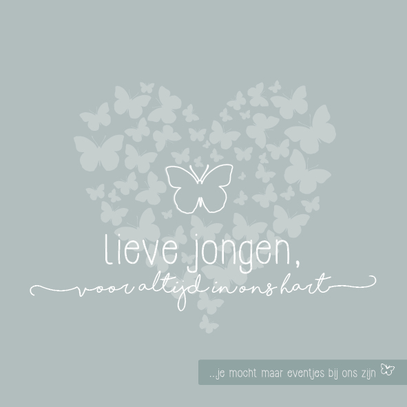 Omslag van Lieve jongen, voor altijd in ons hart