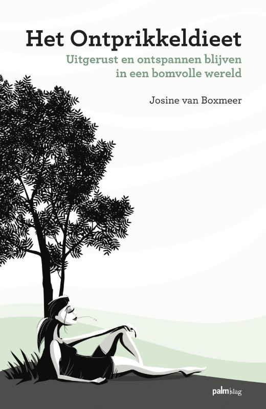 Omslag van Het ontprikkeldieet