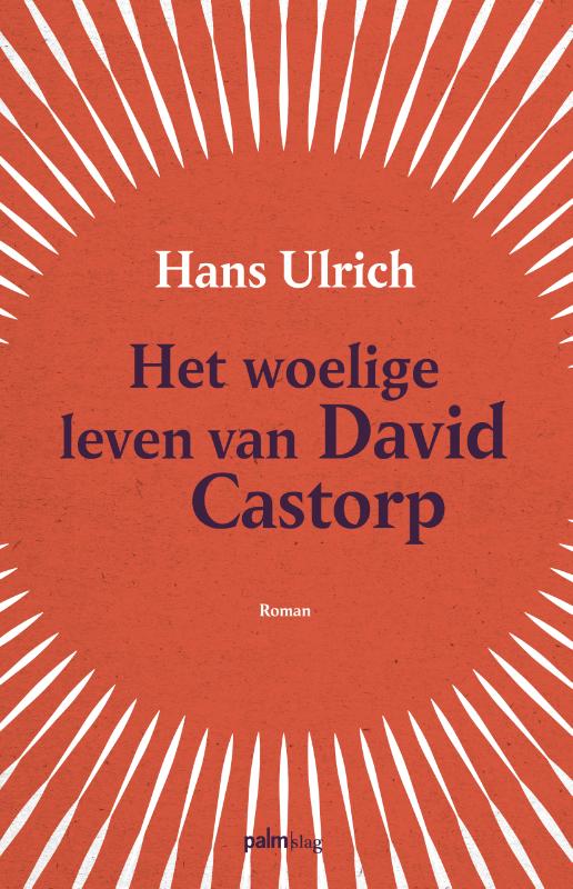 Omslag van Het woelige leven van David Castorp