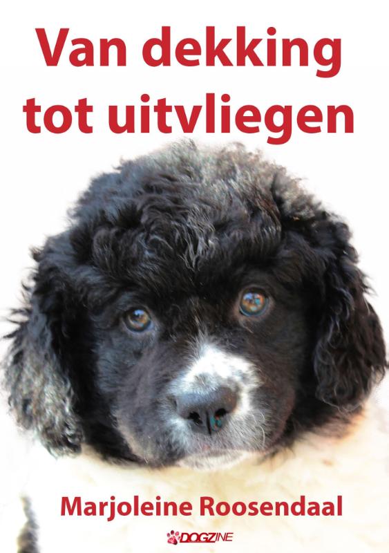 Omslag van Van dekking tot uitvliegen