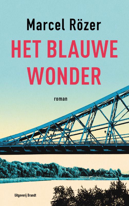 Omslag van Het blauwe wonder