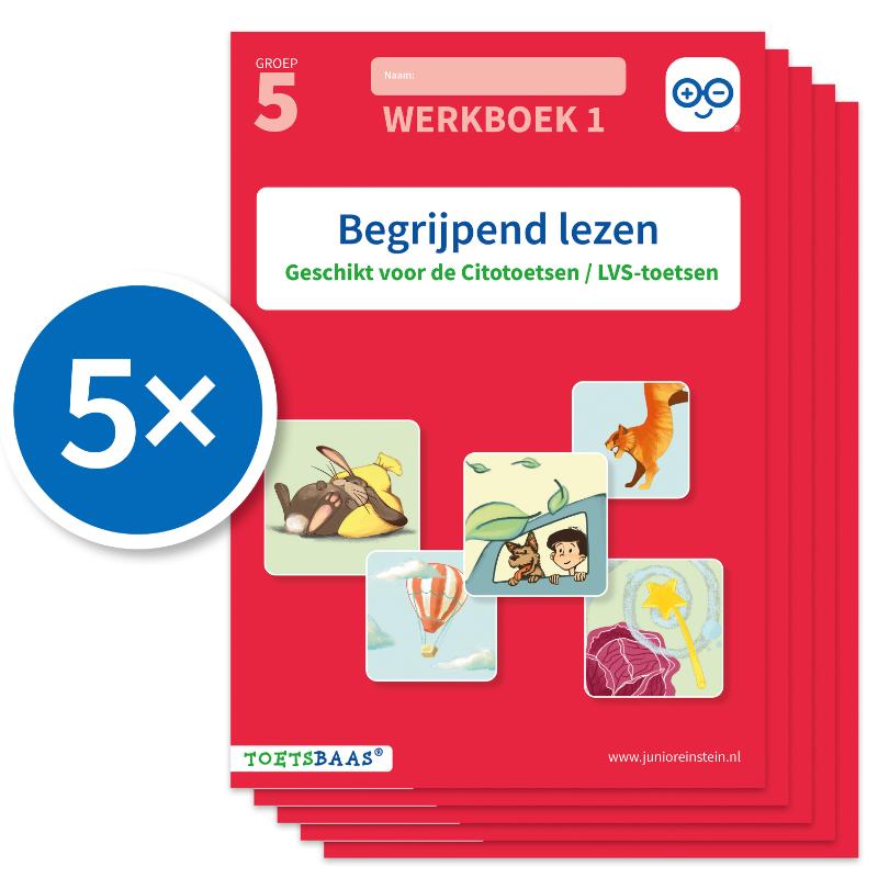 Omslag van Begrijpend lezen werkboek 1 (Set van 5)
