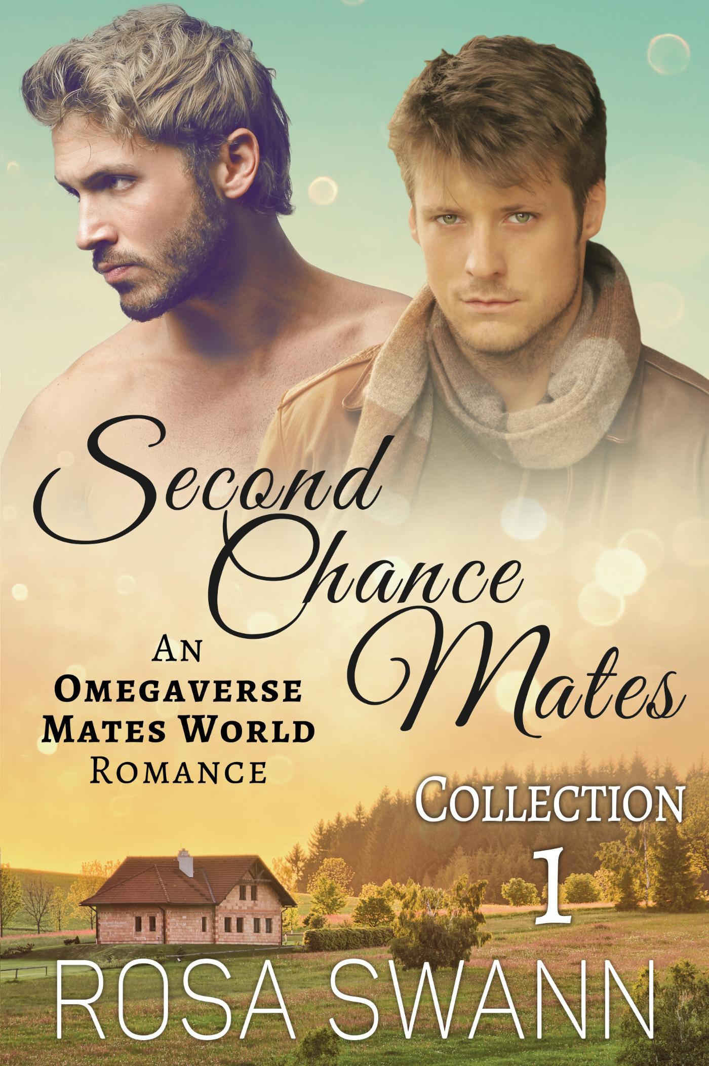 Omslag van Second Chance Mates Collection 1