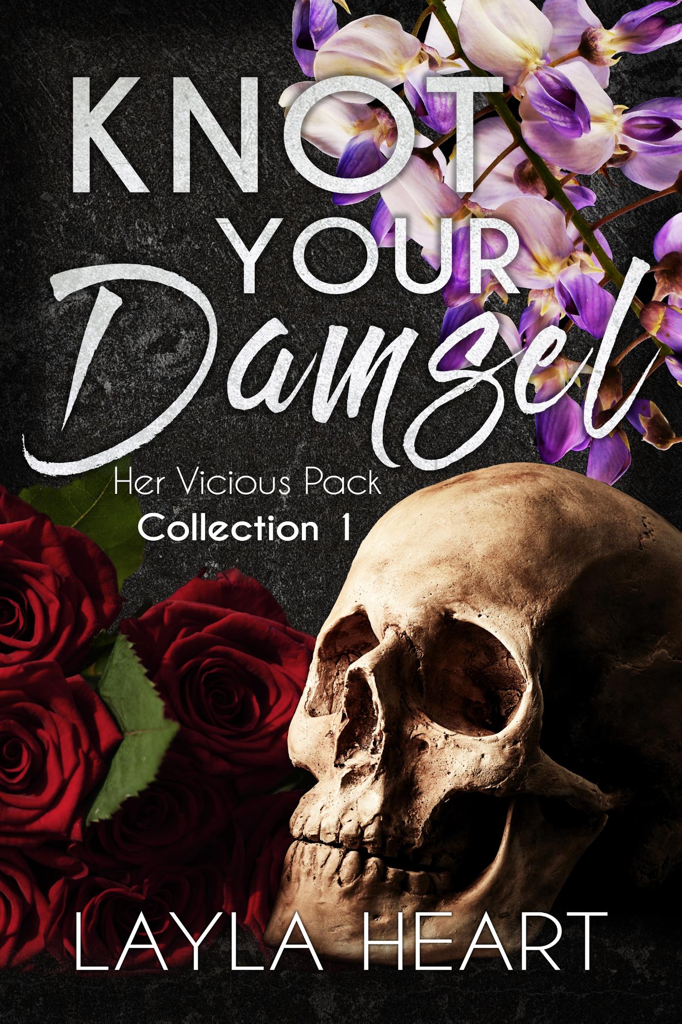 Omslag van Knot Your Damsel