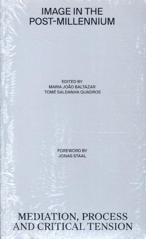 Omslag van Image in the post-Millennium