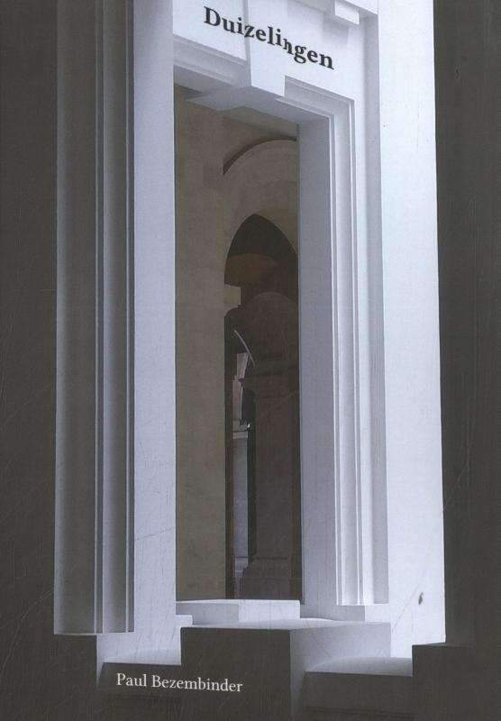 Omslag van Duizelingen