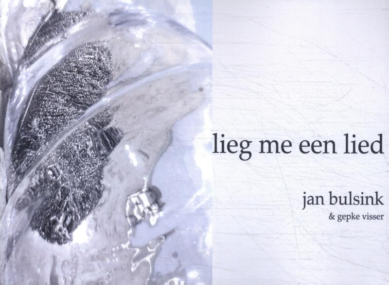 Omslag van Lieg me een lied