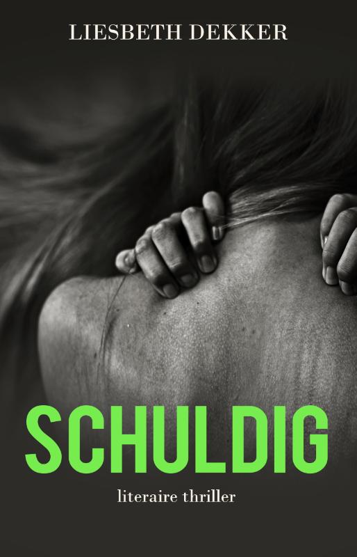 Omslag van Schuldig