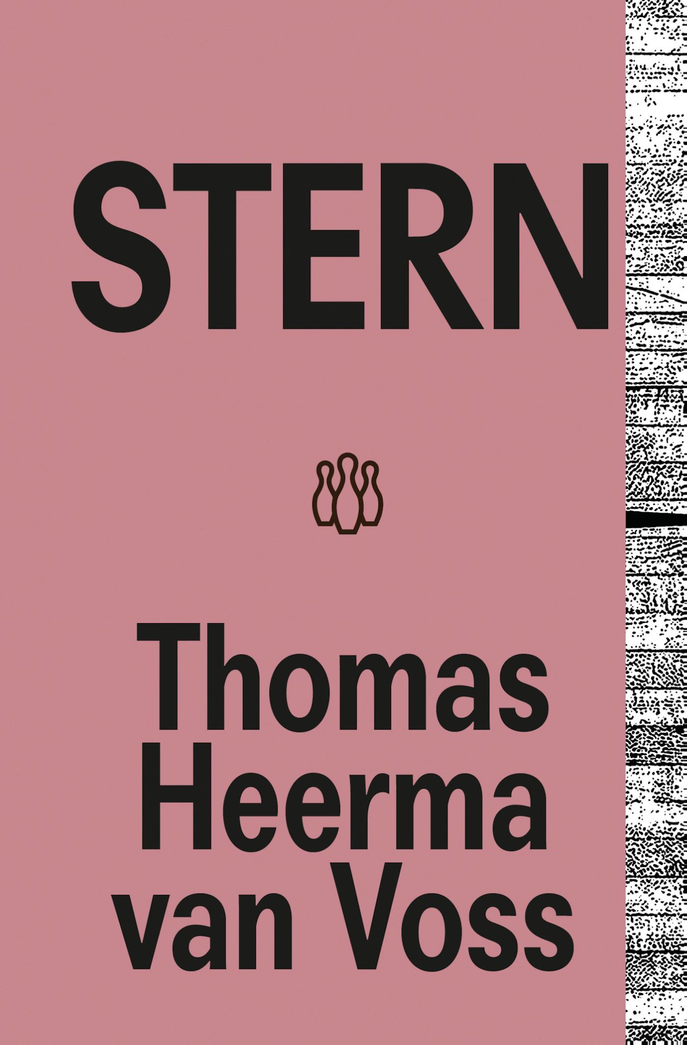 Omslag van Stern