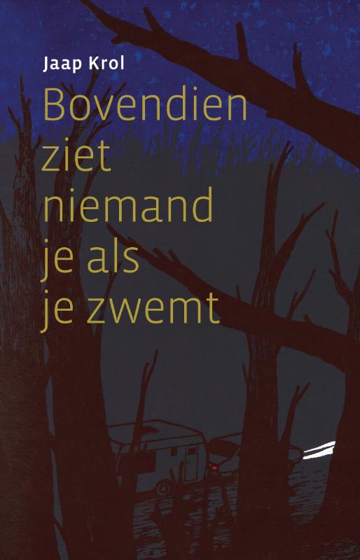 Omslag van Bovendien ziet niemand je als je zwemt
