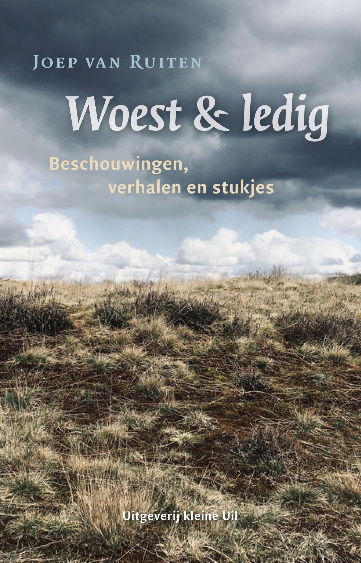 Omslag van Woest & ledig