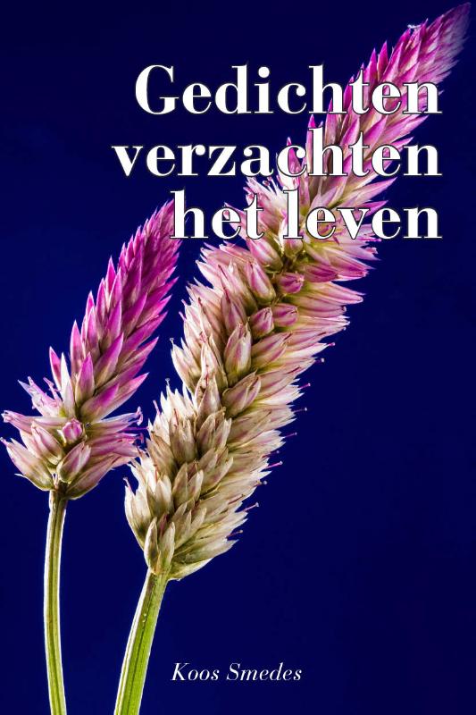 Omslag van Gedichten verzachten het leven
