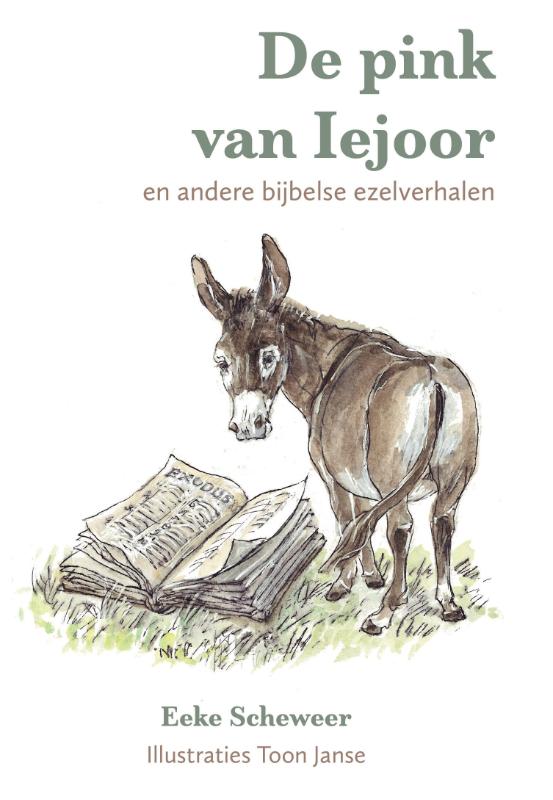 Omslag van De pink van Iejoor