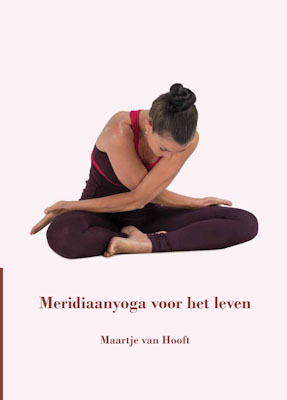 Omslag van Meridiaanyoga voor het leven