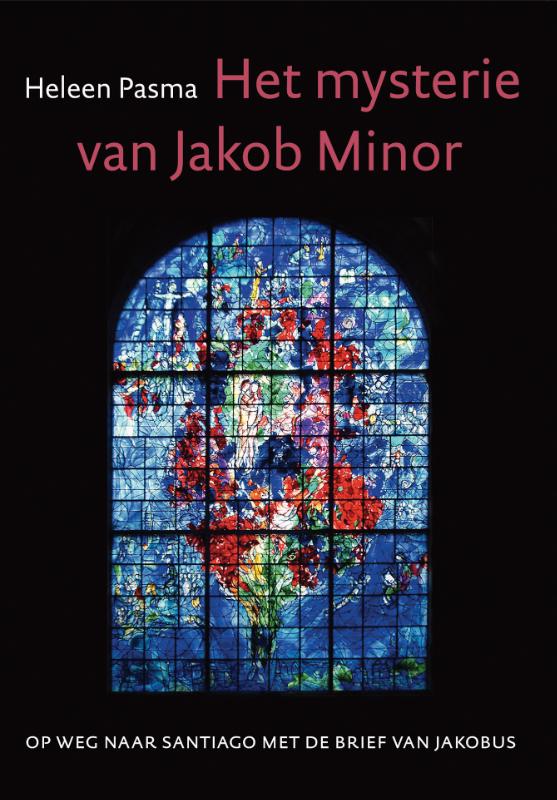 Omslag van Het mysterie van Jacob Minor