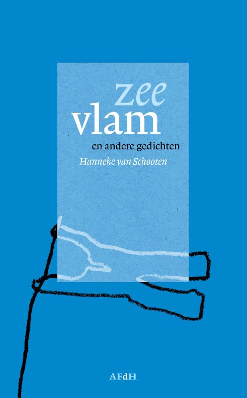 Omslag van Zeevlam