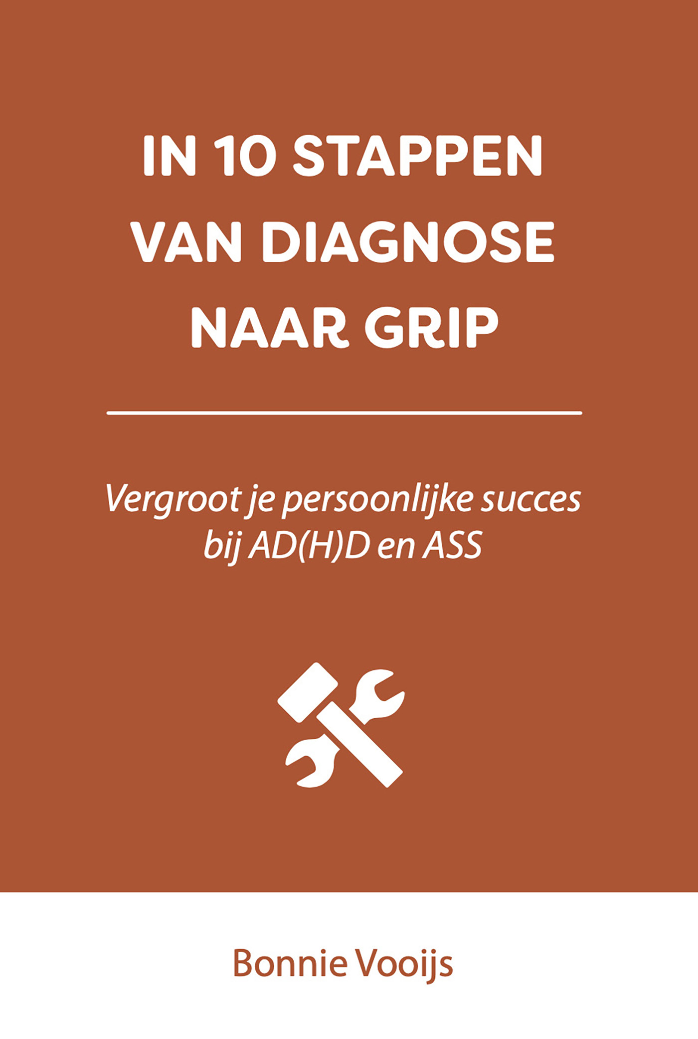 Omslag van In 10 stappen van diagnose naar grip