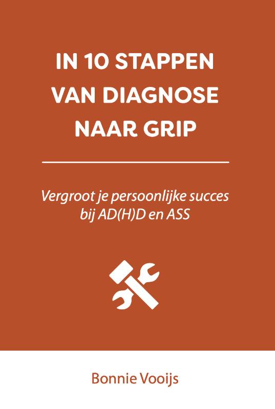 Omslag van In 10 stappen van diagnose naar grip