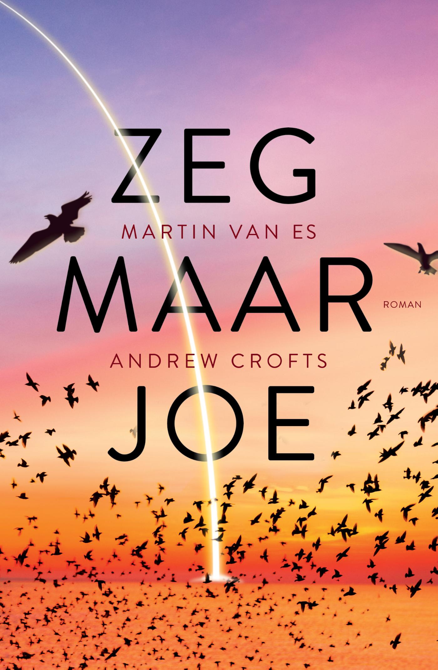 Omslag van Zeg maar Joe