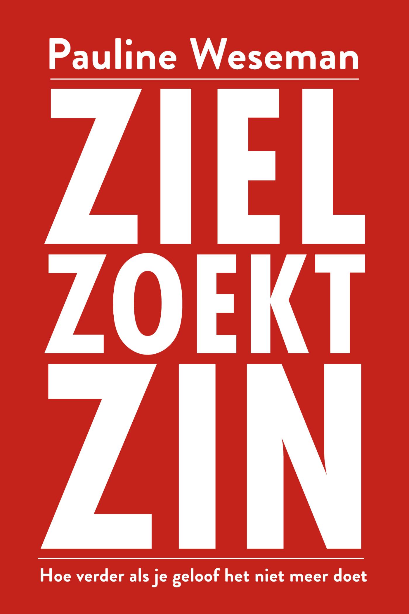 Omslag van Ziel zoekt zin