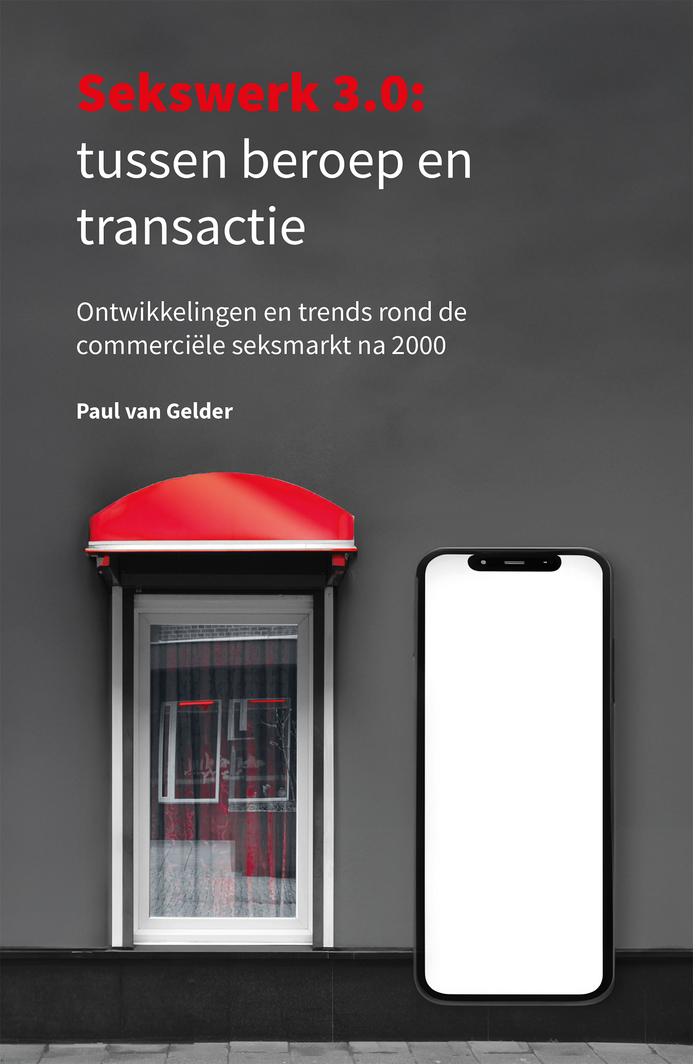 Omslag van Sekswerk 3.0: tussen beroep en transactie