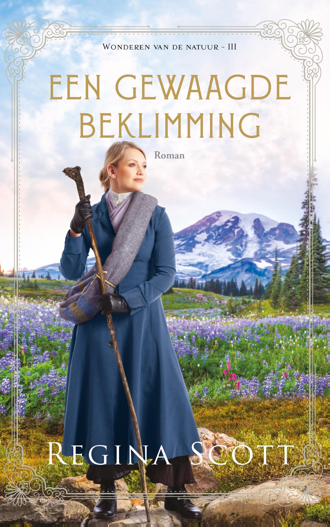 Omslag van Een gewaagde beklimming