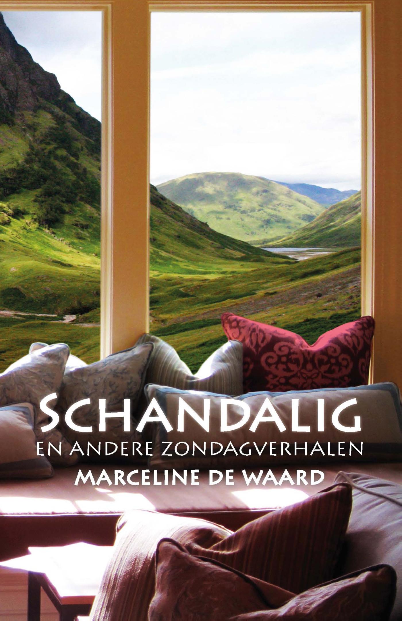Omslag van Schandalig