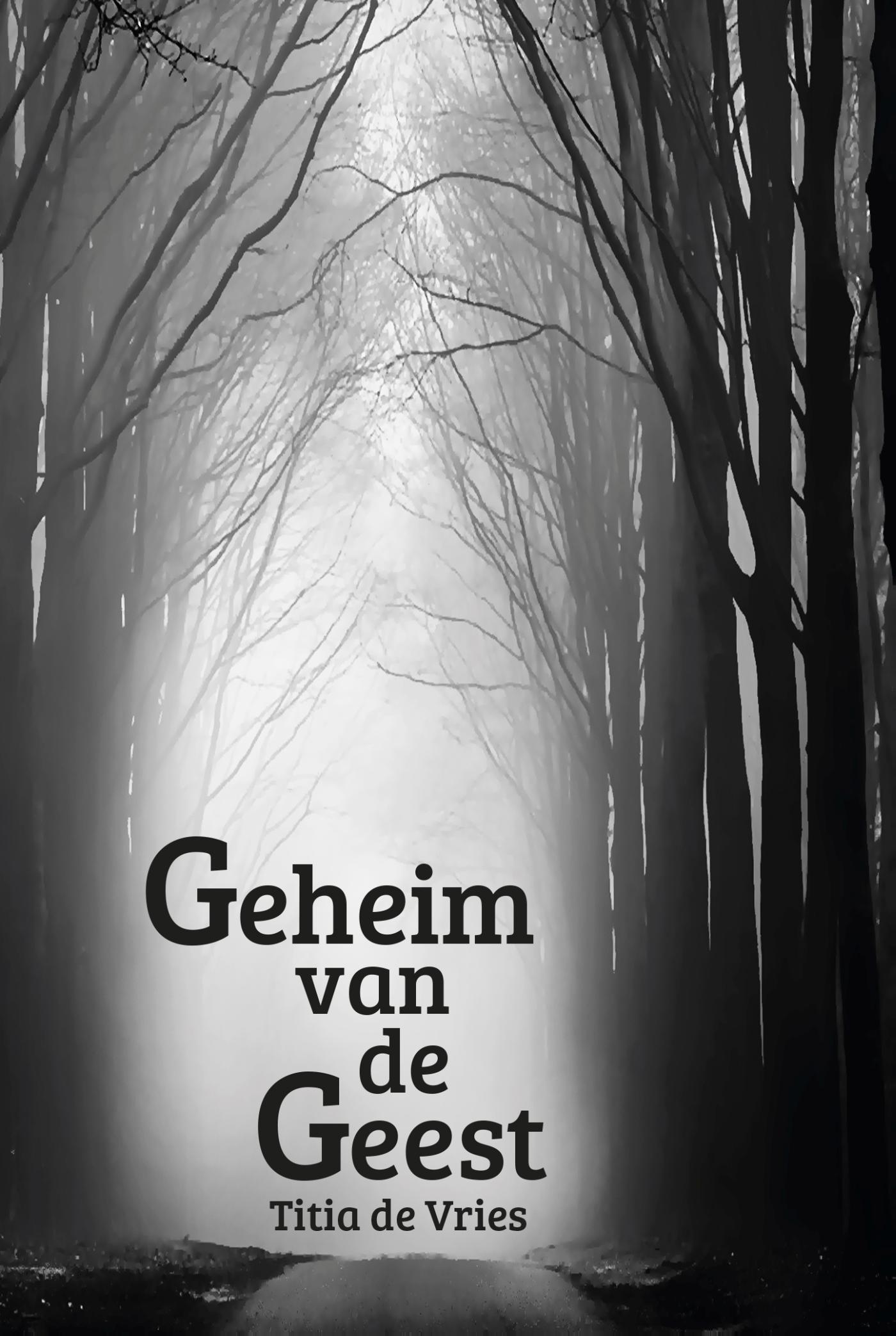Omslag van Geheim van de Geest
