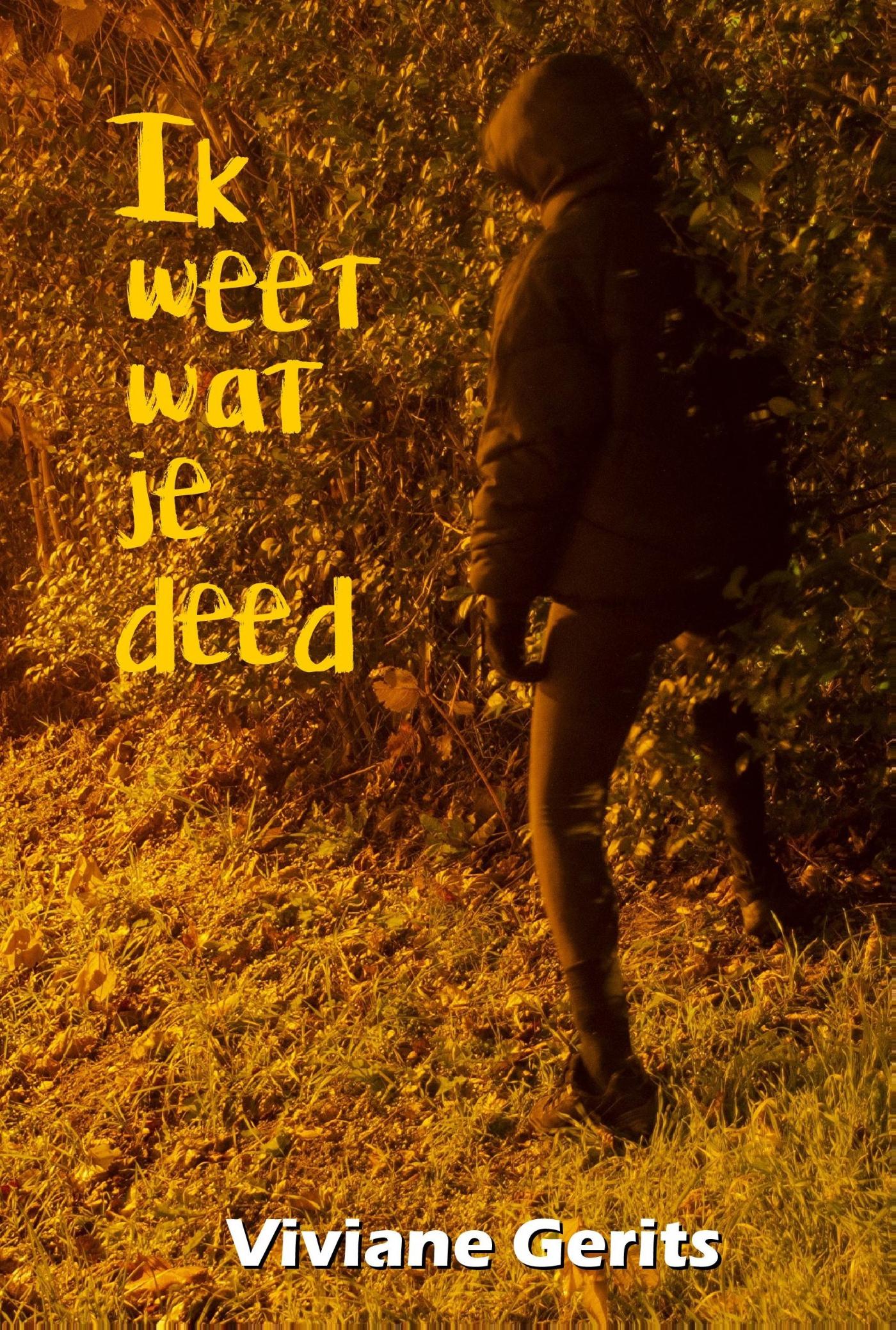 Omslag van Ik weet wat je deed