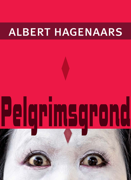 Omslag van Pelgrimsgrond