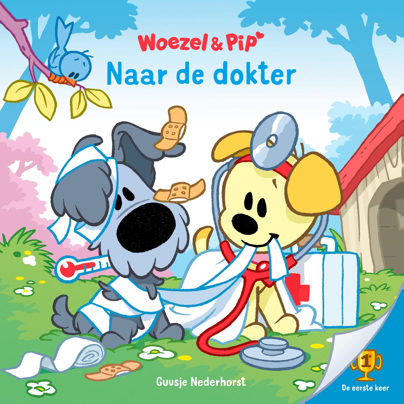 Omslag van Naar de dokter