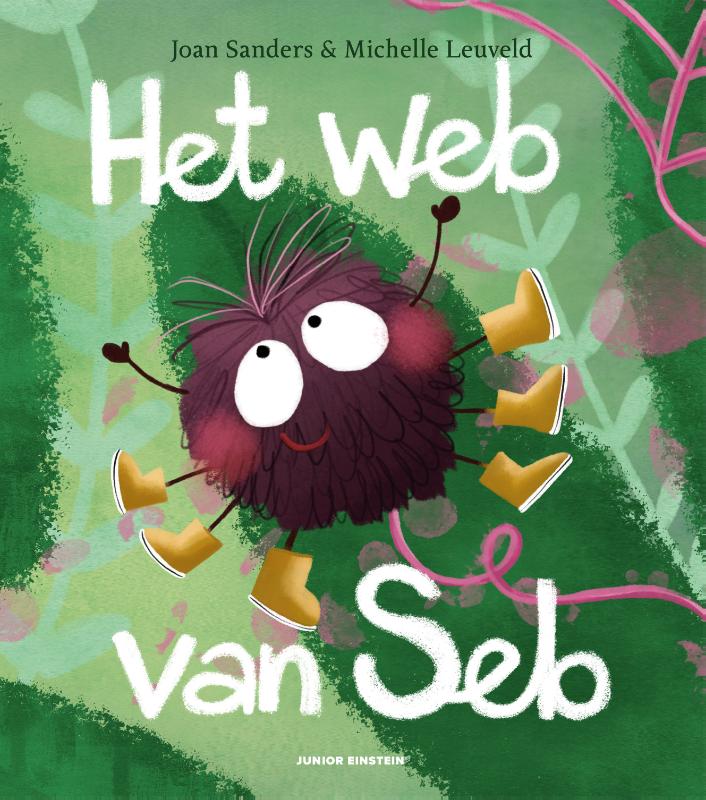 Omslag van Het web van Seb