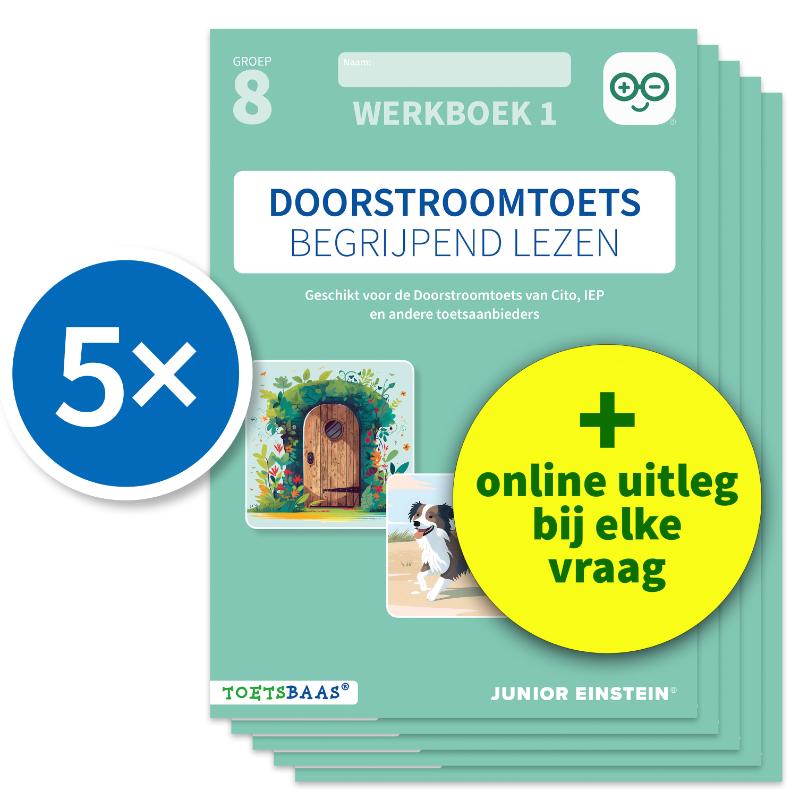 Omslag van Doorstroomtoets Begrijpend lezen – Werkboek 1 + Online video-uitleg (set van 5)