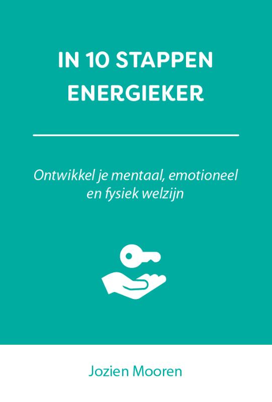 Omslag van In 10 stappen energieker