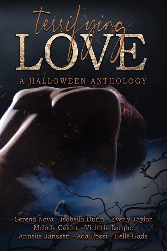 Omslag van Terrifying Love