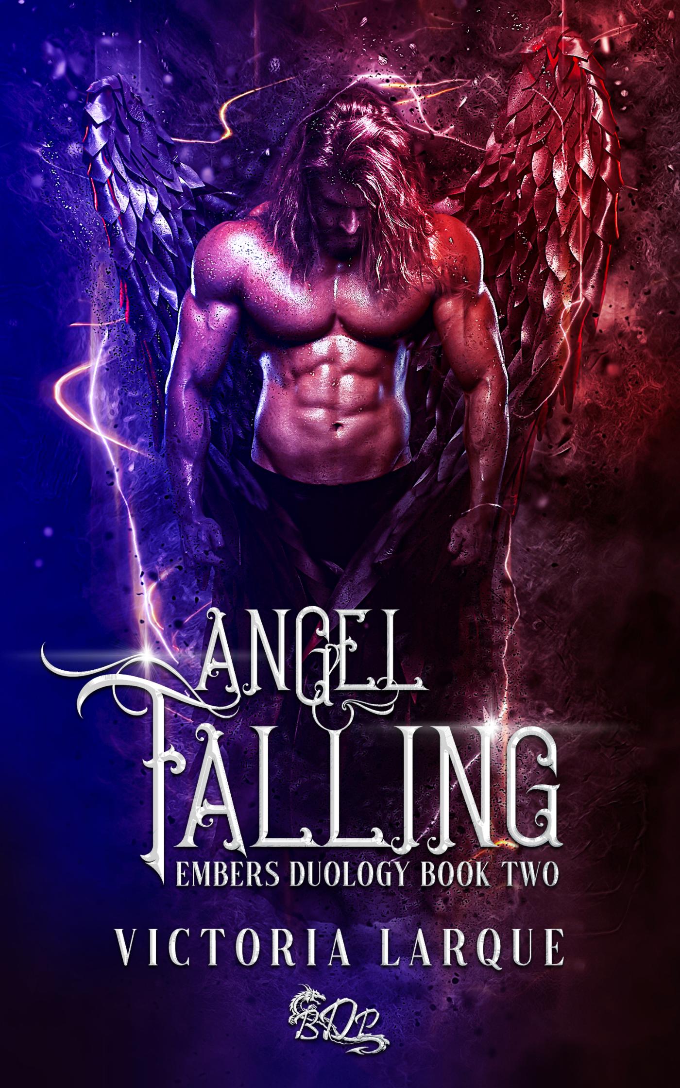 Omslag van Angel Falling