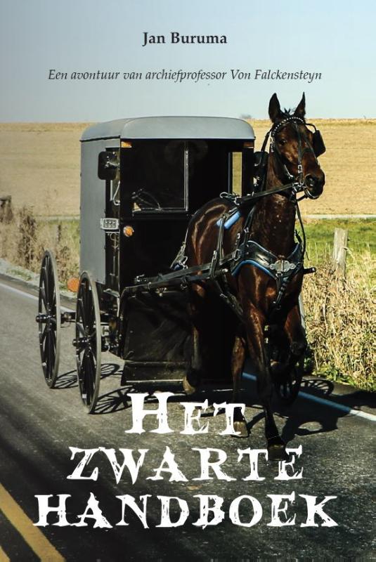 Omslag van Het zwarte handboek
