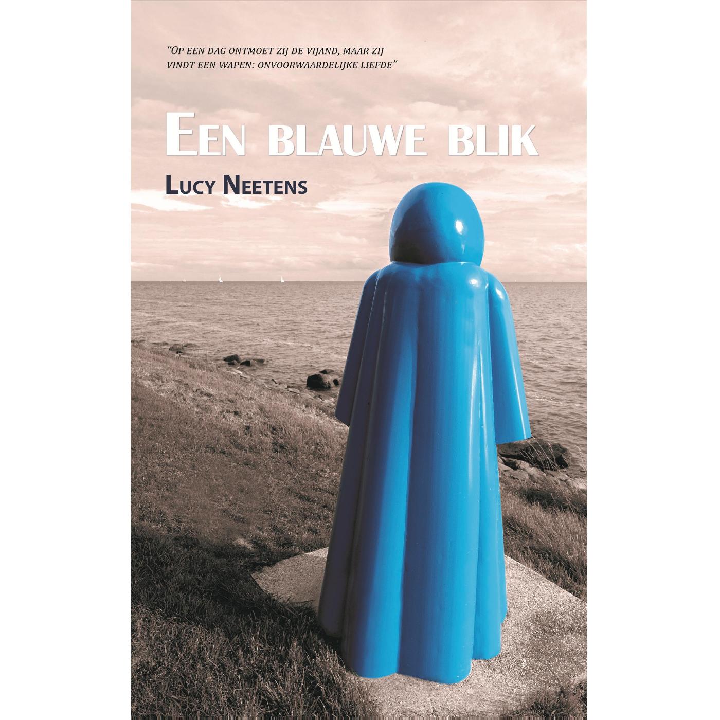 Omslag van Een blauwe blik